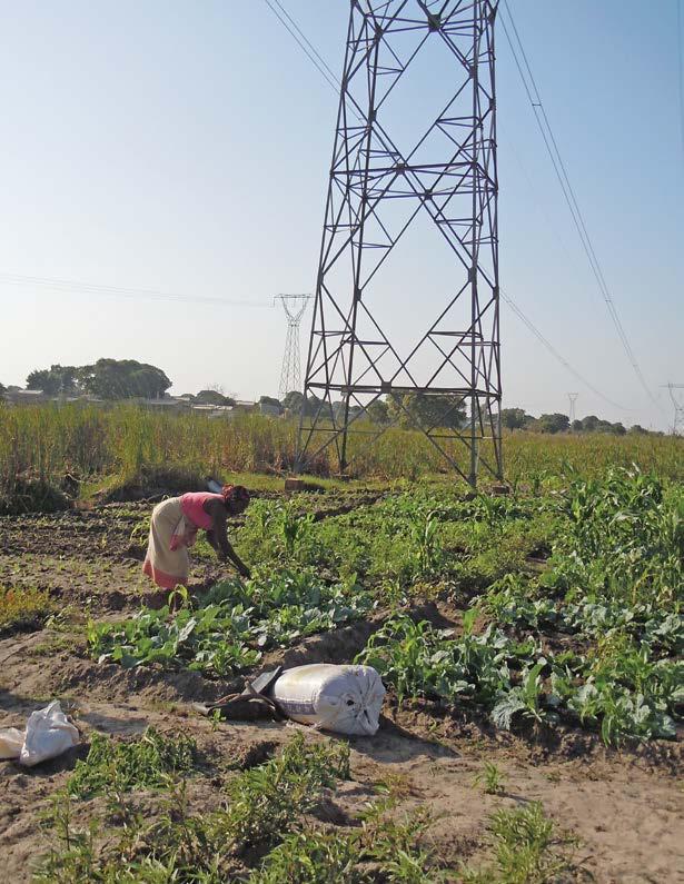 Journal of Conventional Weapons Destruction, Vol. 20, Iss. 3 [2016], Art. 10 A woman cultivates vegetables for consumption and market under Pylon 183.