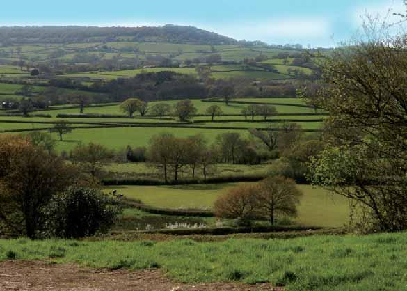Character Area: Axe Valley Hills Similar to other areas within the west of the AONB, the Axe Valley Hills are characterised by a series of linear hills running north to south, formed from underlying