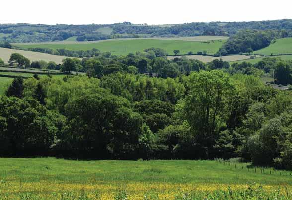 Character Area: Wootton Hills Similar to other areas within the west of the AONB, the Wootton Hills are characterised by a series of conical hills, formed from underlying greensand ridges.