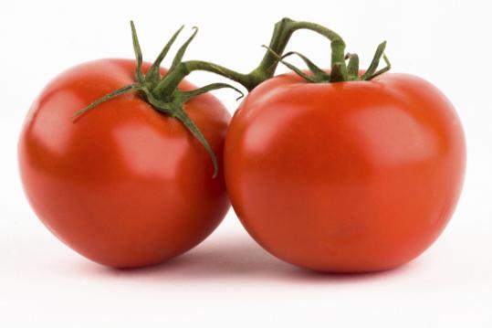 Tomatoes Can be picked at any time, but avoid touching plants when they are wet to prevent spread of disease.