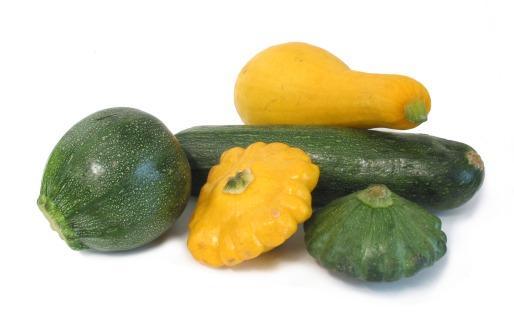 Summer Squash & Zucchini Can be harvested at any time (try for cooler times); avoid wet conditions to prevent spread of Powdery & Downy Mildews Should be harvested when skin is shiny; fruit should be