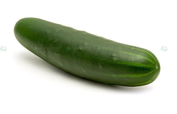 Cucumbers Can be harvested at any time, but needs to be dry moisture spreads disease.