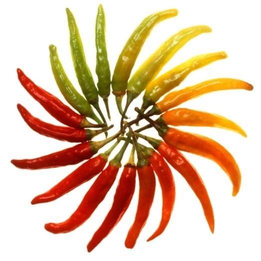 Peppers Harvest when dry and cool. Peppers should be firm, bright and the color of the variety - make sure green peppers are mature green.