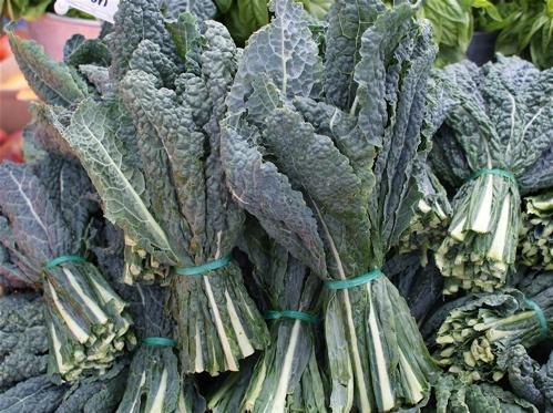 Bunching Greens Kale, Collards, Chard Harvest in cool parts of the day Leaves should be turgid and bright in color, some insect damage ok.