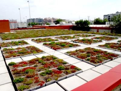 The future? Roof top gardening Waste recycling Aquaculture, Hydroponics, aeroponics Greater utilization and acceptance of private greenspace for community gardening. Education!