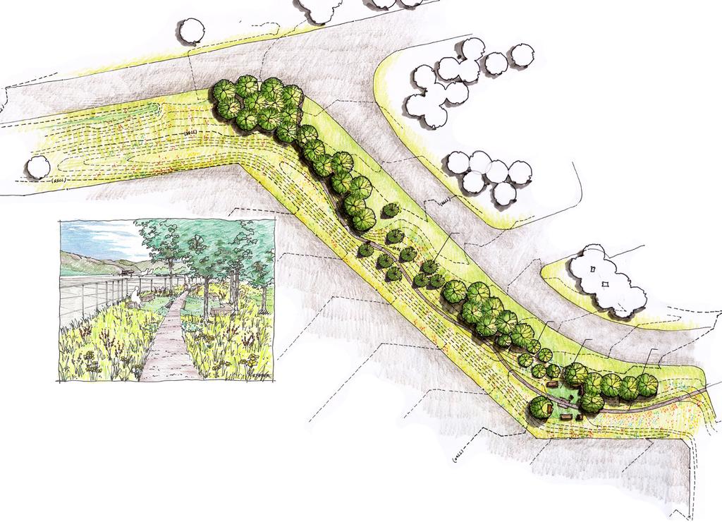 OR RP AI T AD RO SPRUCE EXISTING LOT B PARKING COTTONWOOD SEATING AREA VIEW OF PROPOSED OF SEATING AREA Airport Road Adjacent to Lot B Installation Item Notes Prune existing vegetation and general