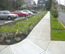o The swale side-slopes were planted with a mix of shrubs, perennials, groundcovers, and grasses.
