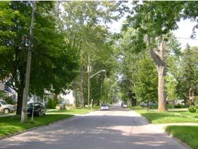 Figure 2: View of main collector street from an established residential neighbourhood within New Tecumseth.
