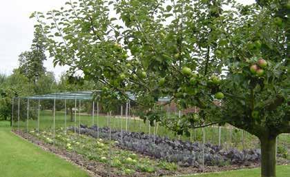 FRUIT CAGES There s nothing we love more at Northern Polytunnels than the taste of home grown fruit and vegetables.