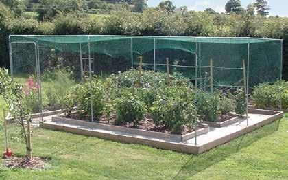 it, however, by intro duc ing fruit cages to your garden or allotment you could see the amount of fruit and vegetables making it to your