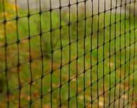 around the cage perimeter. Lifetime Guarantee See page 3. SIDE NET TOP NET FRUIT CAGE KITS 2.5m 5m 7.5m 10m 12.5m 15m 17.