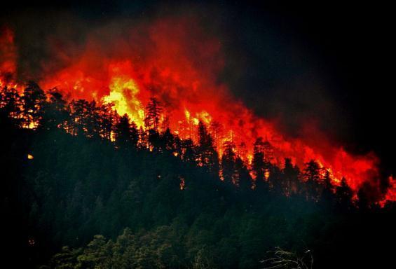 1 million Cause: Human (arson) Photograph taken from the headquarters of the Manitou Experimental Forest located on the eastern perimeter of the Hayman Fire, as the fire approached on June 18, 2002.