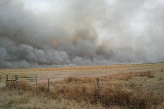 org/incident/2878/ 12 Heartstrong Fire Yuma County (20 miles SE of Yuma), CO March 18-19, 2012 Acres burned: