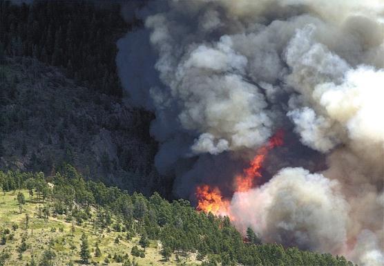 5 million Cause: Human (cigarette) Note: The Hi Meadow wildfire was subsequently studied for the effect of fuel treatments on wildfire