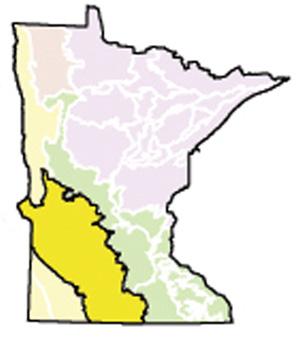 In the Minnesota River Prairie subsection of the state (see map right, area in yellow) DNR researchers estimated landscape change from 1890s to 1990s that shows the conversion from prairie to