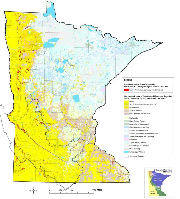 Minnesota s Remaining Prairie 100 Years After the Public Land Survey The map above shows the small amount of native prairie that remains statewide.