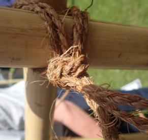 Figure 2 An Ibo-musubi knot traditionally used to tie fences.