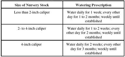 Watering Guide