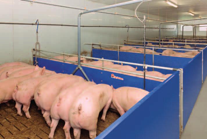If the trough is emptied very quickly, the next feeding ration is automatically increased. If the feed remains longer in the trough, the next feed ration will be reduced accordingly.