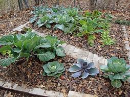 Climate Friendly Gardening Use