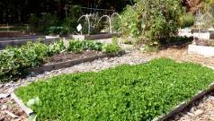 Climate-Friendly Gardening Build up the soil!