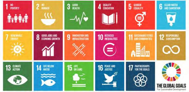 2010 SDG agenda Leaving no-one behind SDG 11.