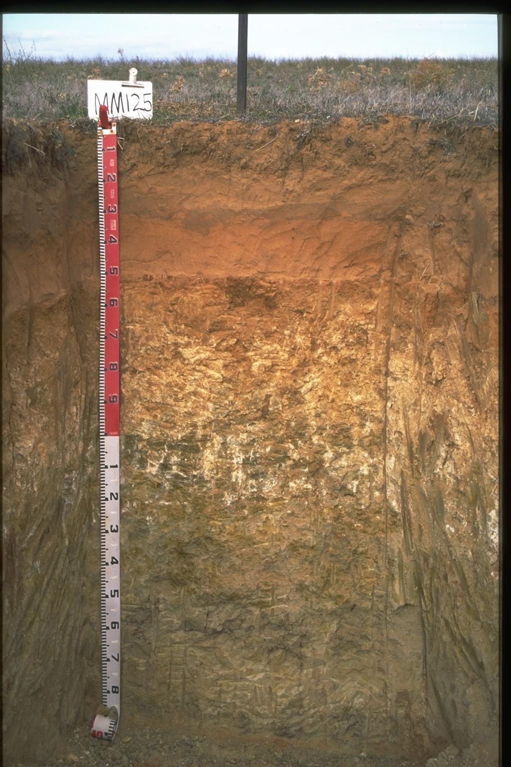 Potential Rootzone Depth - Lime Tolerant Crop 60cm topsoil 20cm