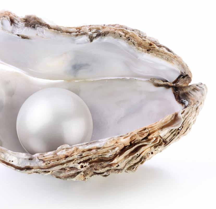 Inspired by the color of grace Throughout history, pearl has been one of the jewels that is priced due to its warm glow and grace.