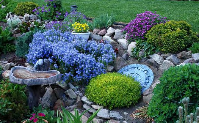 the mulch when you are ready to plant there. Keep these tips in mind when planting: n Keep the plants moist before planting. n Gently loosen the root ball of the plant before planting.