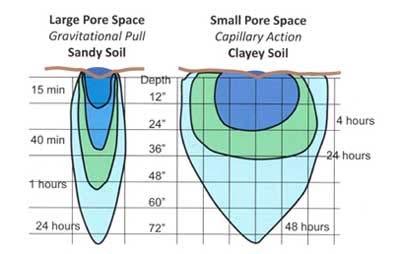 How Water Moves in Different Soils (1) It takes twice as long for