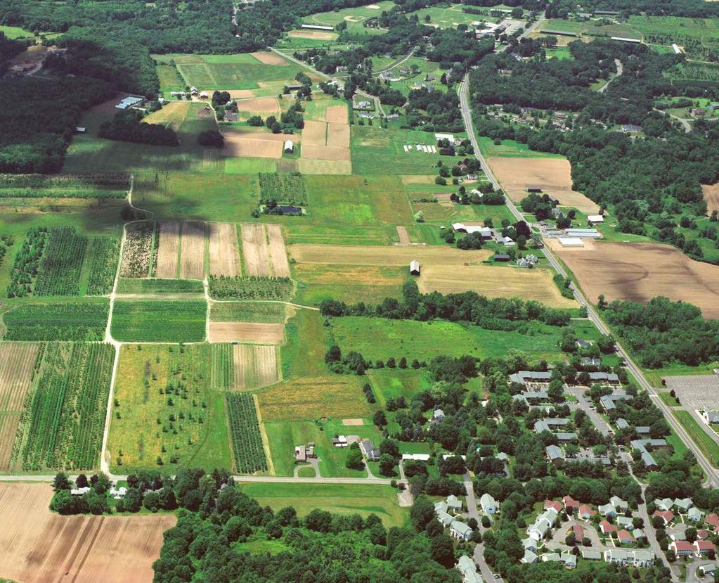 Agricultural Sustainability Suffield, CT Issues Rapid Loss of