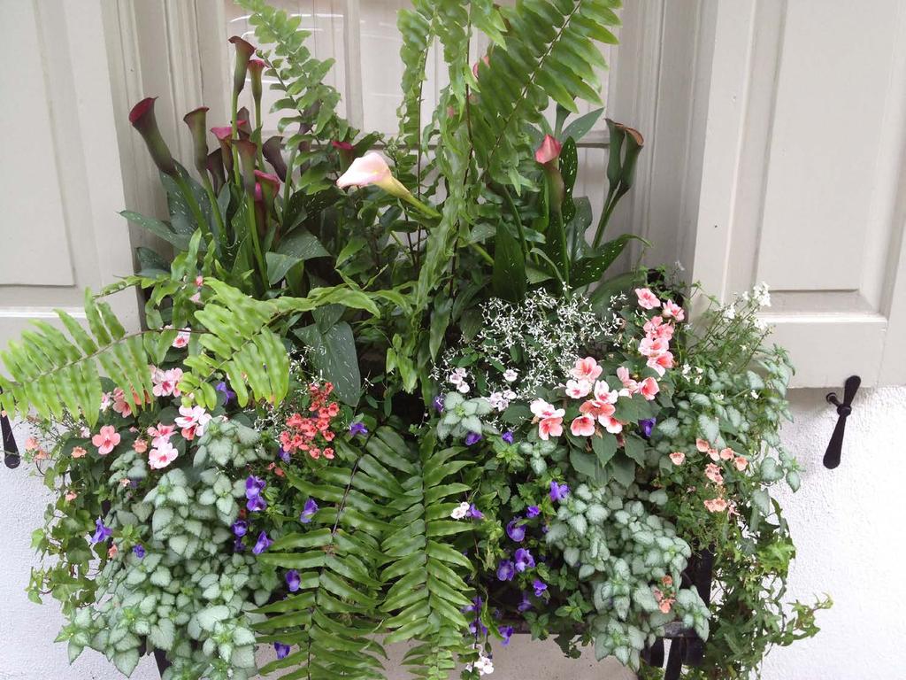 SOUTHERN CONTAINER GARDENING You