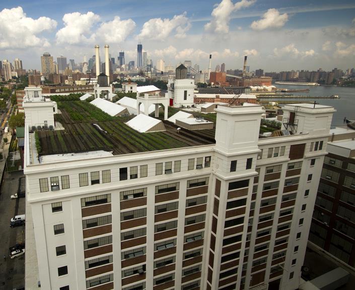 ROOFTOP URBAN AGRICULTURE