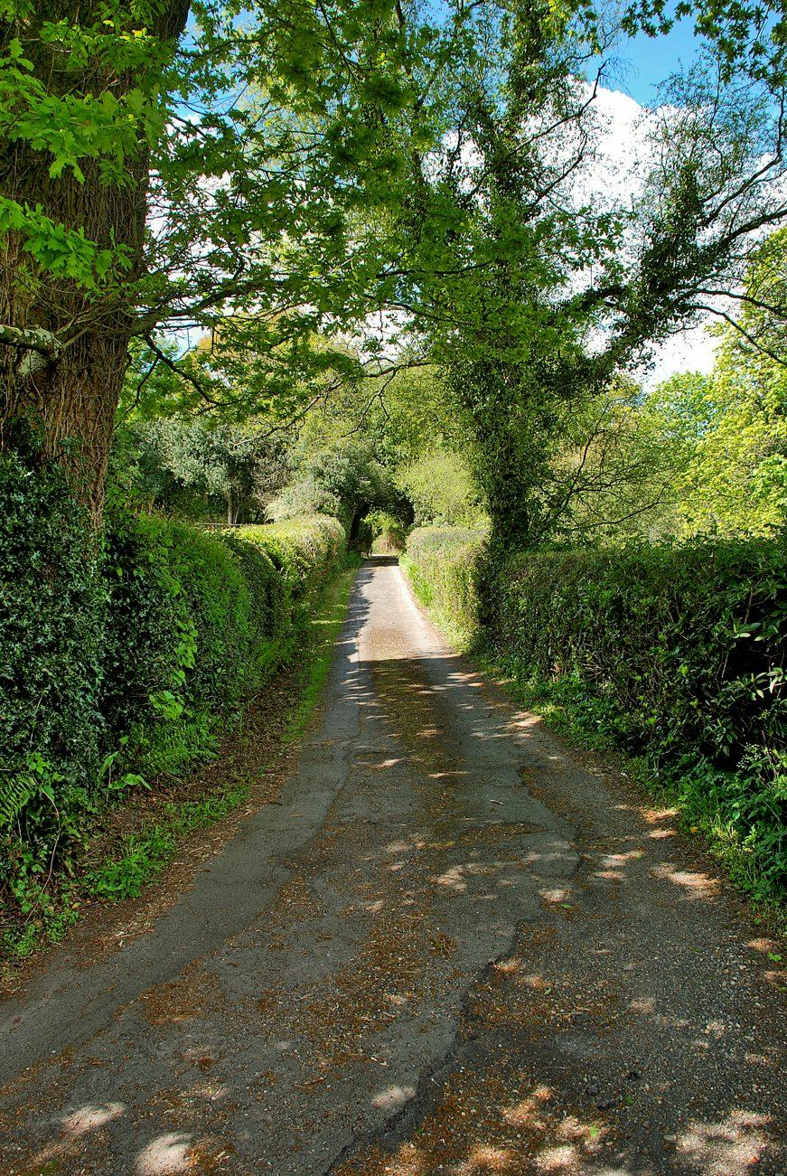 The Situation Tom s Lane Corner is situated on the south west outskirts of the extremely popular and largely unspoilt village of Minstead, which in turn lies within the heart of the New Forest