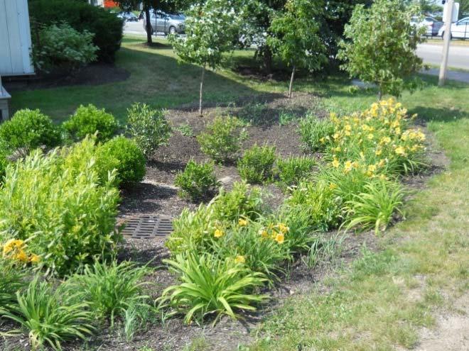 Rain gardens should have a subsurface drain to alleviate ponding during freeze/thaw cycles and can be designed to overflow