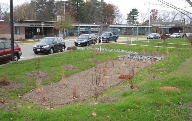 Rain gardens are typically designed to capture stormwater from small, adjacent areas.