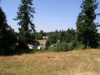Conditions, Challenges, and Opportunities The Town Center site provides a great deal of physical amenities on which to build a green heart for the City of Sammamish.