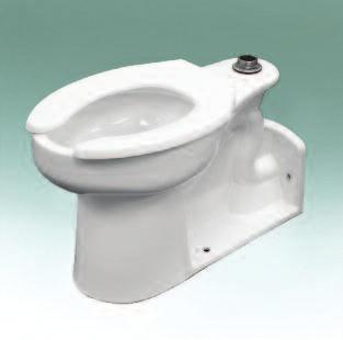 floor-mount bedpan toilets provide a complete solution for the convenient washing