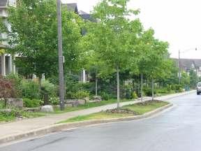 Incorporate rear yard parking accessed by laneway or shared driveway. Minimize road pavement widths to reduce impervious surfaces and storm-water runoff.