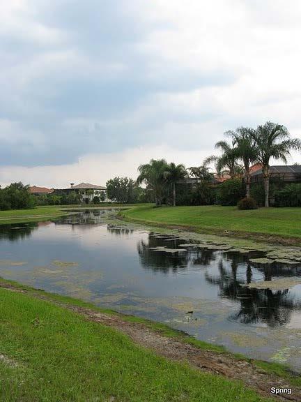 We conducted 5 focus groups with homeowners in Manatee County about stormwater pond issues maintenance free or