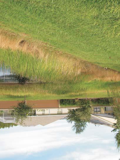 (stormwater system) Pond 24 outflows into the abutting wetland and is functioning as designed.