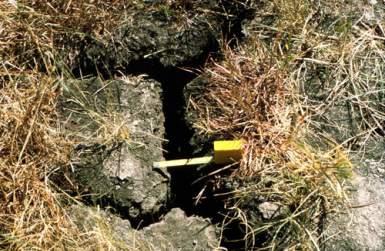 worst in physical properties (heavy soils,