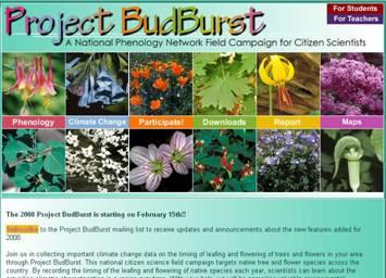 org/jnorth Project BudBurst: