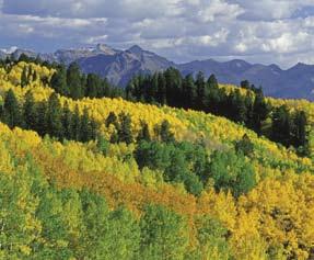 Temperate deciduous forests experience four distinct seasons with a total annual precipitation of 700 2,000 mm (about 28 80 inches) that is spread through out the year.