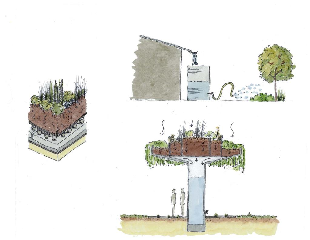 GREEN ROOF / RAIN WATER COLLECTION ROOF RAIN WATER COLLECT WATER IN