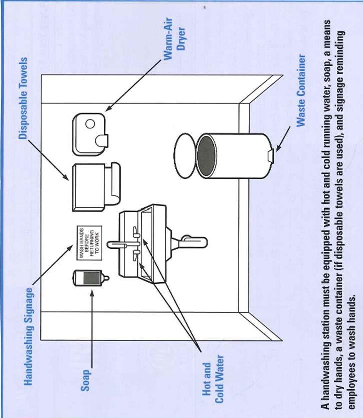 E. Hand-washing Facilities: An adequate and convenient sink with hot and cold running water, hand soap, paper towels and a covered refuse receptacle shall be provided which is separate from the