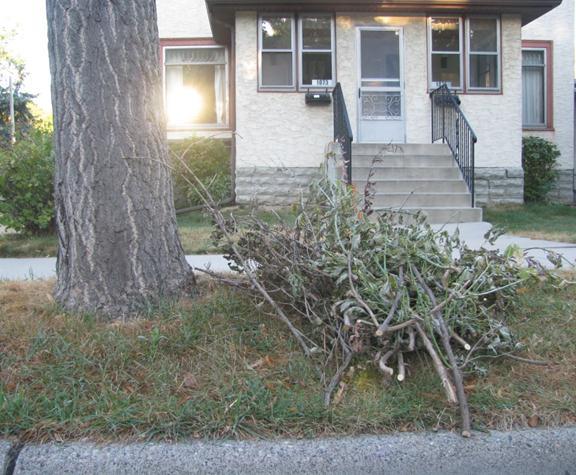 MANAGING BRUSH Manage brush safely for citizens Keep it cleared from the