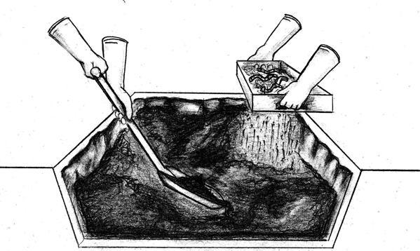 Digging out / re-filling the pit and harvesting the worms: 7. After 2 months, dig out 2/3-3/4 the contents of the pit and remove the bulk of the worms (by hand or sieving). 8.