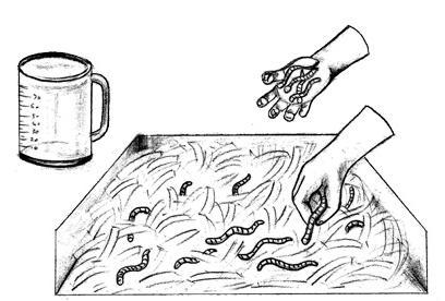 4. Sprinkle 2-4 cups of soil into the box. The soil introduces beneficial microorganisms, and gritty particles to aid the worms digestive process. Potting soil or soil from outdoors is fine. 5.
