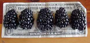 Attributes Growers Want in Fresh-market Blackberries?